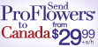 ProFlowers