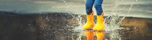 Term Life Insurance in a Minute – PolicyMe