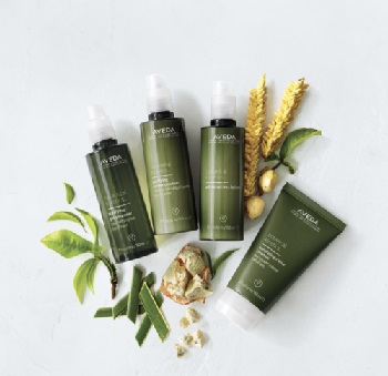 Aveda