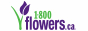 1-800-Flowers.ca